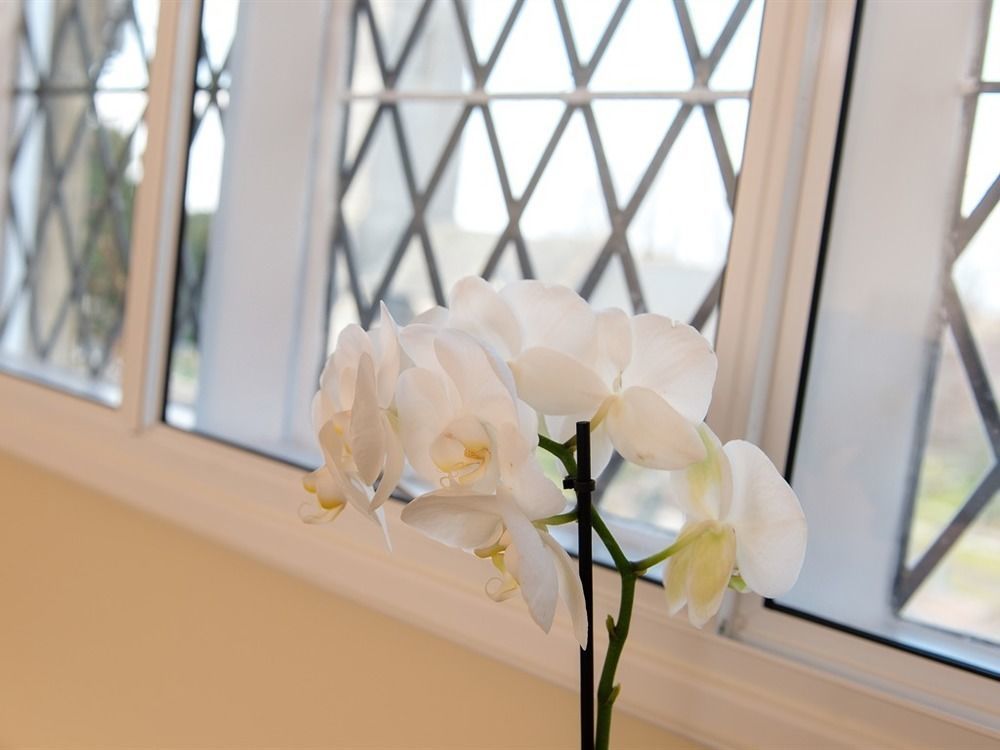 The School House Bed & Breakfast Bridgwater Dış mekan fotoğraf